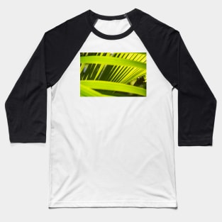 Coconut Palm Baseball T-Shirt
